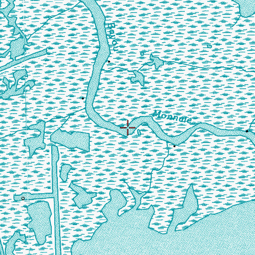 Topographic Map of Bayou Monnaie, LA