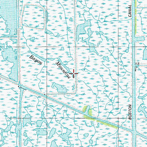 Topographic Map of Bayou Mountine, LA