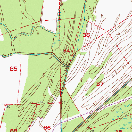 Topographic Map of Bayou Pond, LA