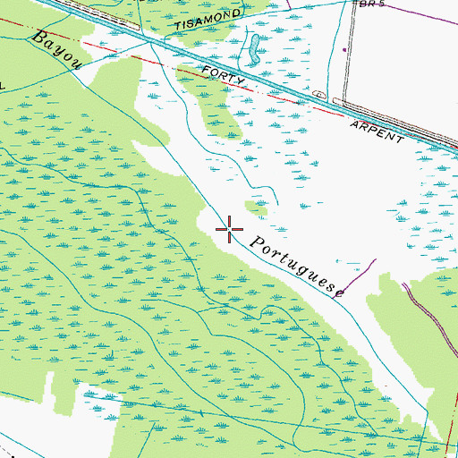 Topographic Map of Bayou Portuguese, LA