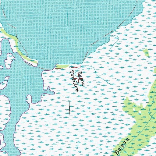 Topographic Map of Bayou Tortillon, LA