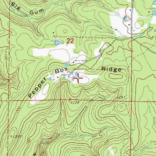 Topographic Map of Pepper Box Ridge, AR