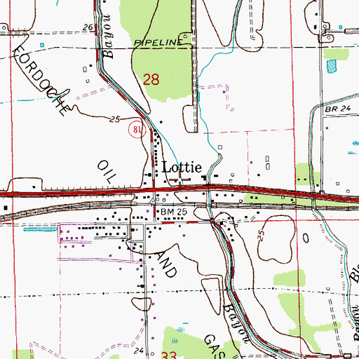 Topographic Map of Bayou White, LA