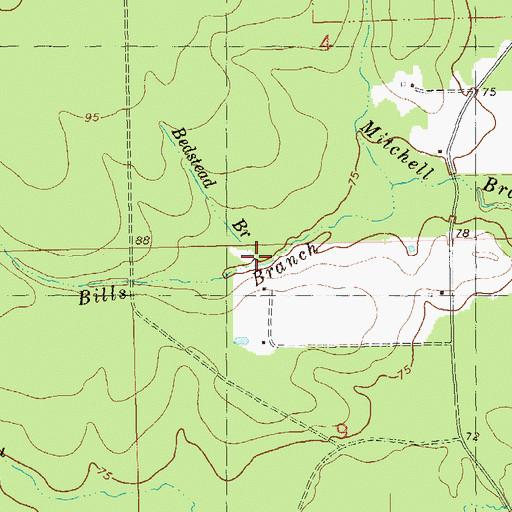Topographic Map of Bedstead Branch, LA