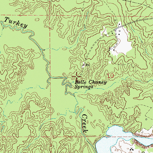 Topographic Map of Belle Chaney Springs, LA