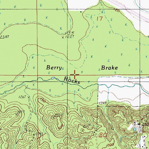 Topographic Map of Berry Brake, LA