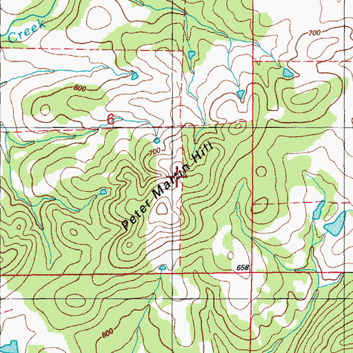 Topographic Map of Peter Martin Hill, AR