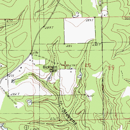 Topographic Map of Bickham Cemetery, LA