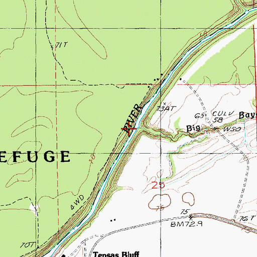 Topographic Map of Big Bayou, LA