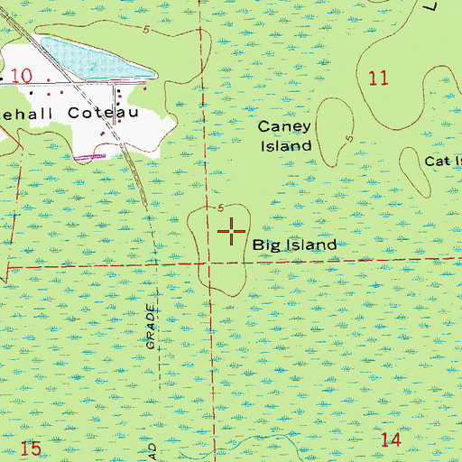 Topographic Map of Big Island, LA