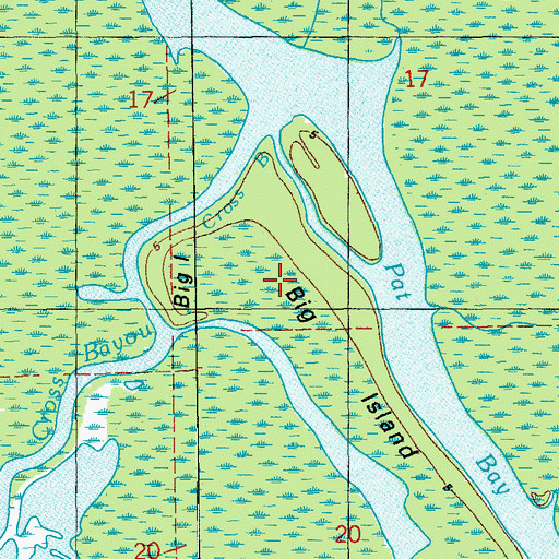 Topographic Map of Big Island, LA