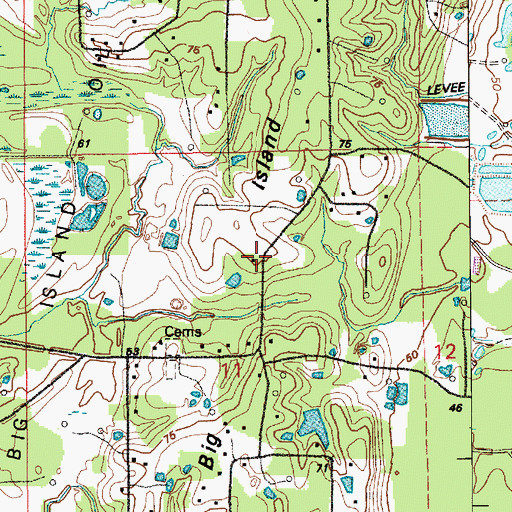 Topographic Map of Big Island, LA