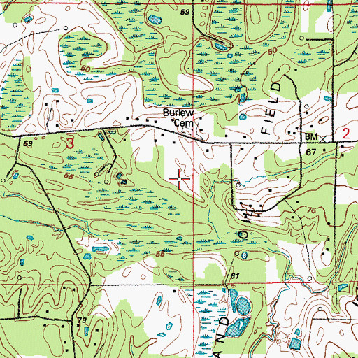 Topographic Map of Big Island Church, LA