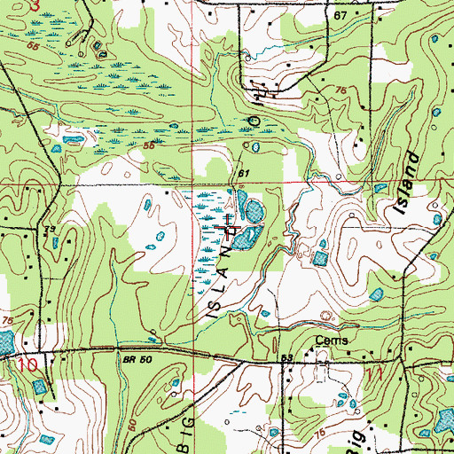 Topographic Map of Big Island Oil Field, LA