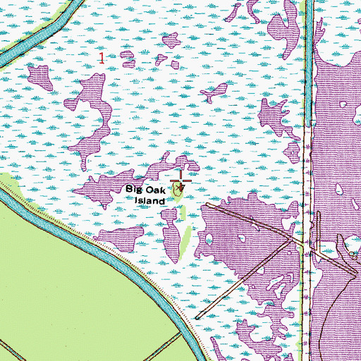 Topographic Map of Big Oak Island, LA