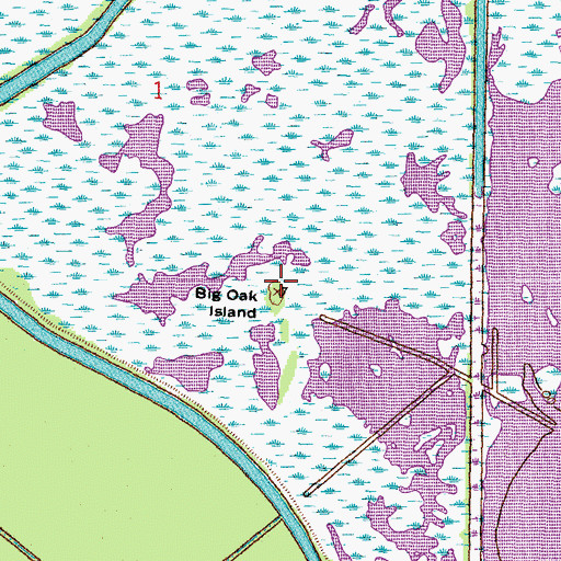 Topographic Map of Big Oak Island, LA