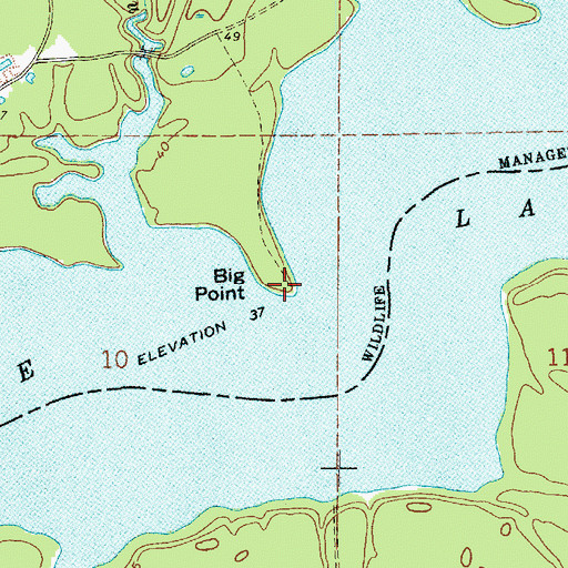 Topographic Map of Big Point, LA