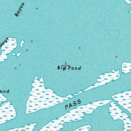 Topographic Map of Big Pond, LA