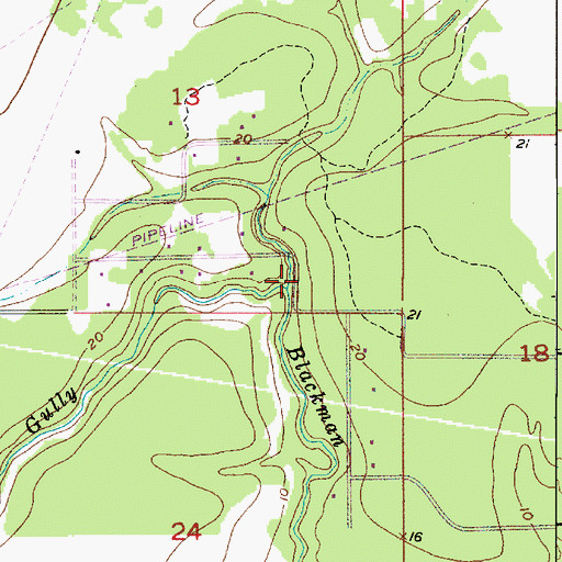 Topographic Map of Birdsnest Gully, LA