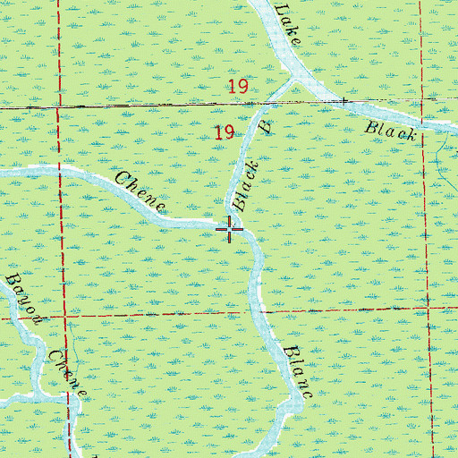 Topographic Map of Black Bayou, LA