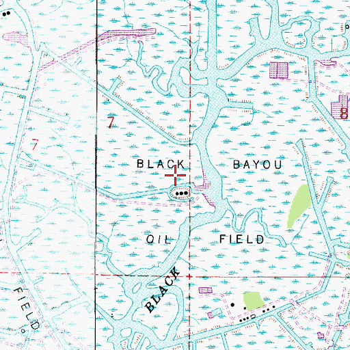 Topographic Map of Black Bayou Oil Field, LA