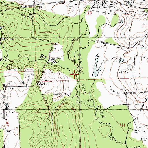 Topographic Map of Black Branch, LA