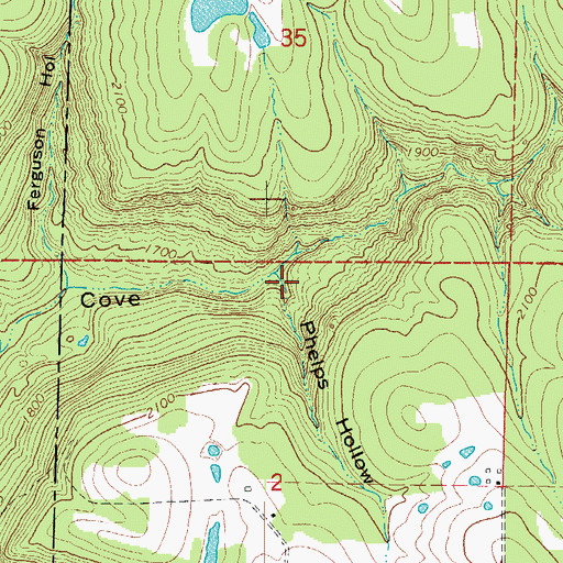 Topographic Map of Phelps Hollow, AR