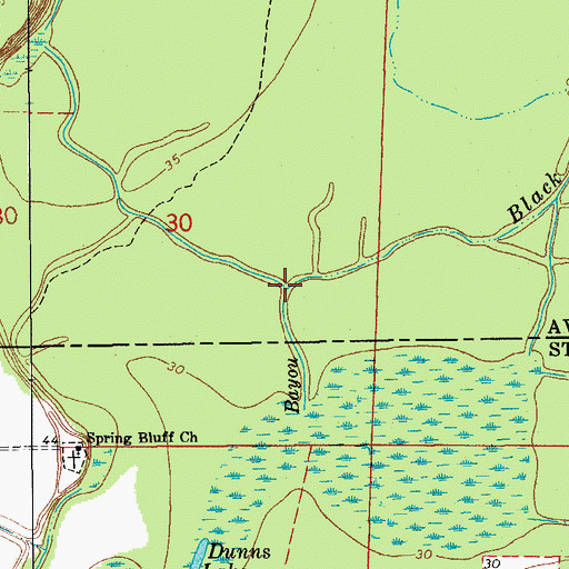 Topographic Map of Black Water Bayou, LA