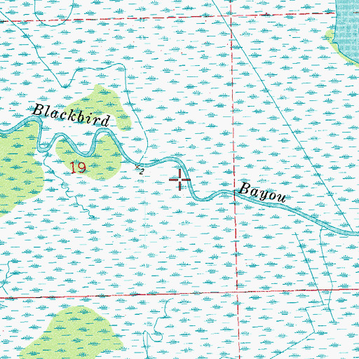 Topographic Map of Blackbird Bayou, LA