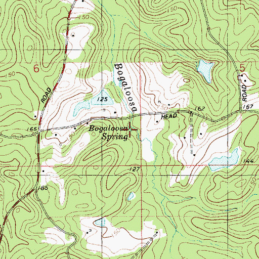 Topographic Map of Bogaloosa Spring, LA