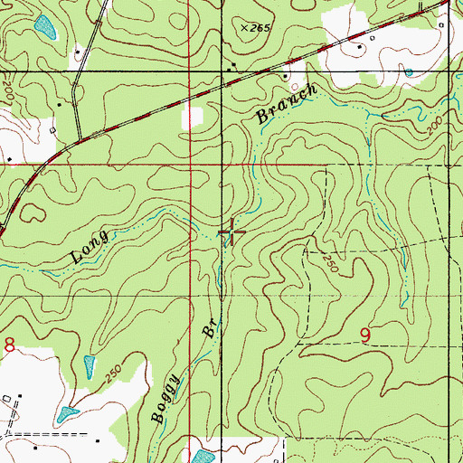 Topographic Map of Boggy Branch, LA