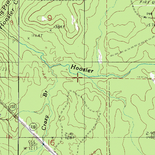 Topographic Map of Boggy Branch, LA