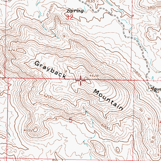 Topographic Map of Grayback Mountain, AZ