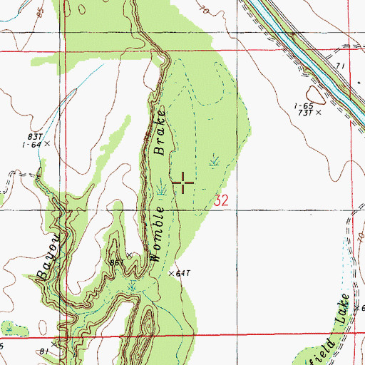 Topographic Map of Boggy Womble Brake, LA