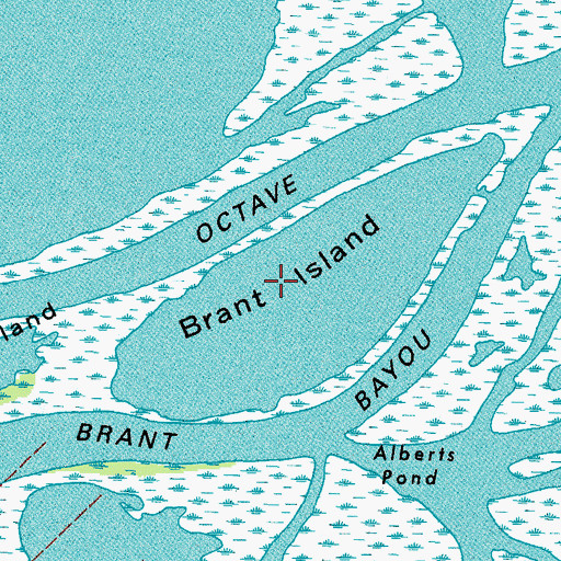 Topographic Map of Brant Island, LA