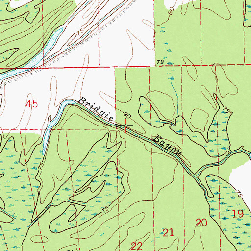 Topographic Map of Bridgie Bayou, LA
