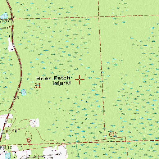Topographic Map of Brier Patch Island, LA