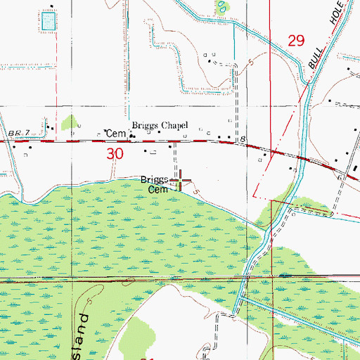 Topographic Map of Briggs Cemetery, LA