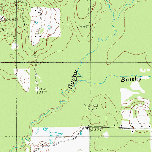 Topographic Map of Brushy Bayou, LA