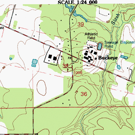 Topographic Map of Buckeye, LA