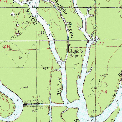 Topographic Map of Buffalo Bayou, LA