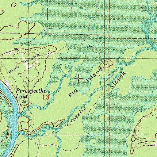 Topographic Map of Pig Island, AR