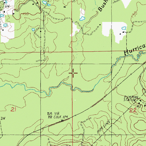 Topographic Map of Bushy Creek, LA