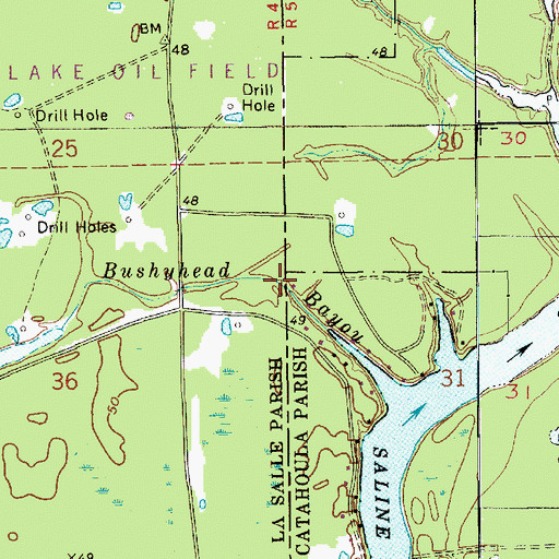 Topographic Map of Bushyhead Bayou, LA