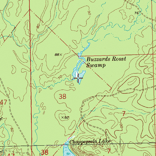 Topographic Map of Buzzards Roost Swamp, LA