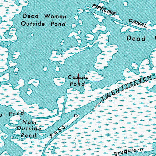 Topographic Map of Camps Pond, LA