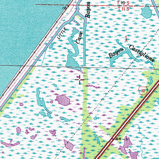 Topographic Map of Cane Bayou, LA