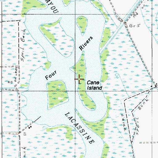 Topographic Map of Cane Island, LA