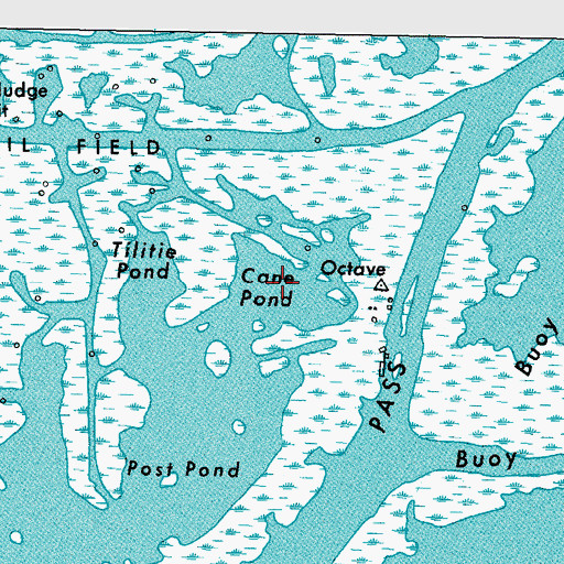 Topographic Map of Cane Pond, LA