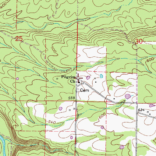 Topographic Map of Pilgrim Church, AR